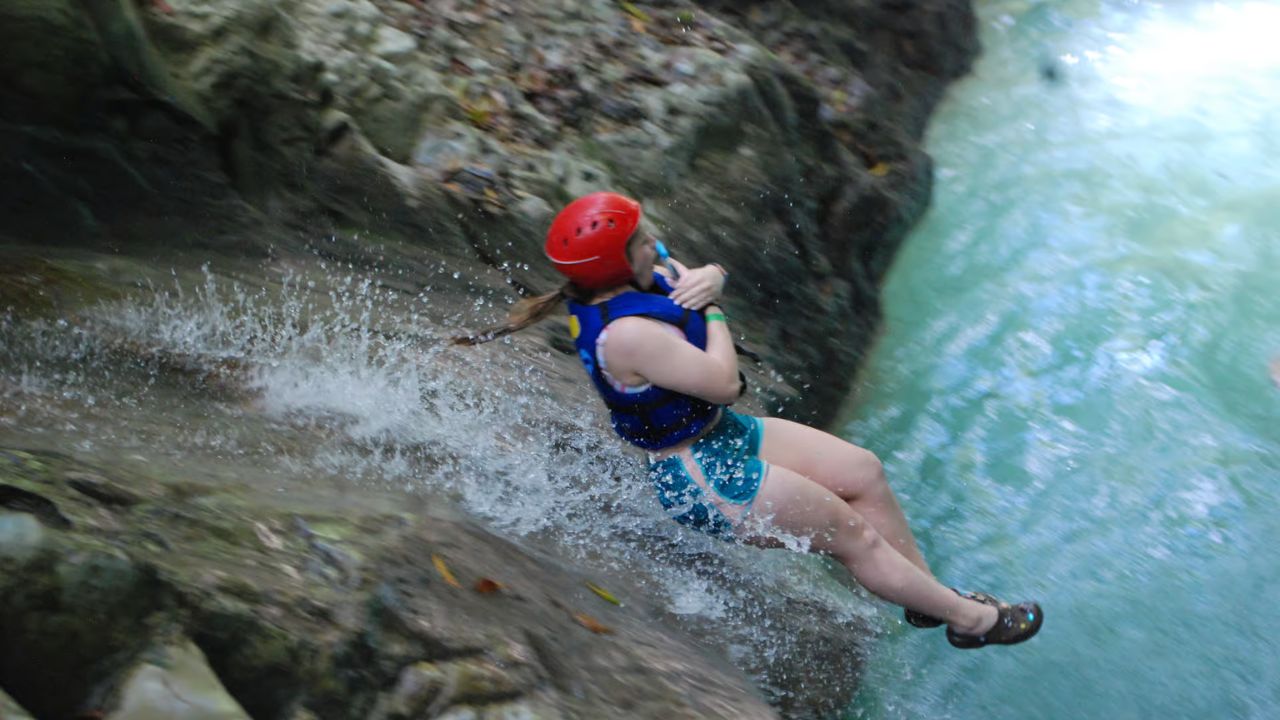 image-7