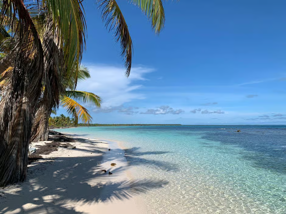Punta Cana: Island Escape to Saona • katamaran & Beach manje midi - Photo 2 (Gallery view)