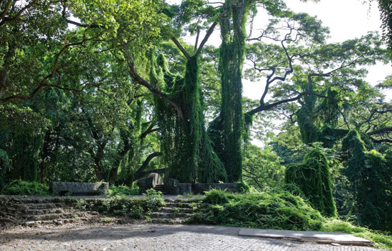 image-3