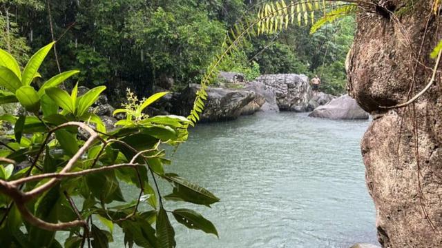 image-0