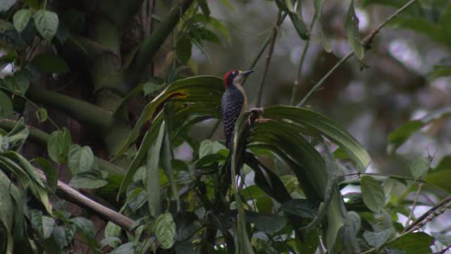 image-6