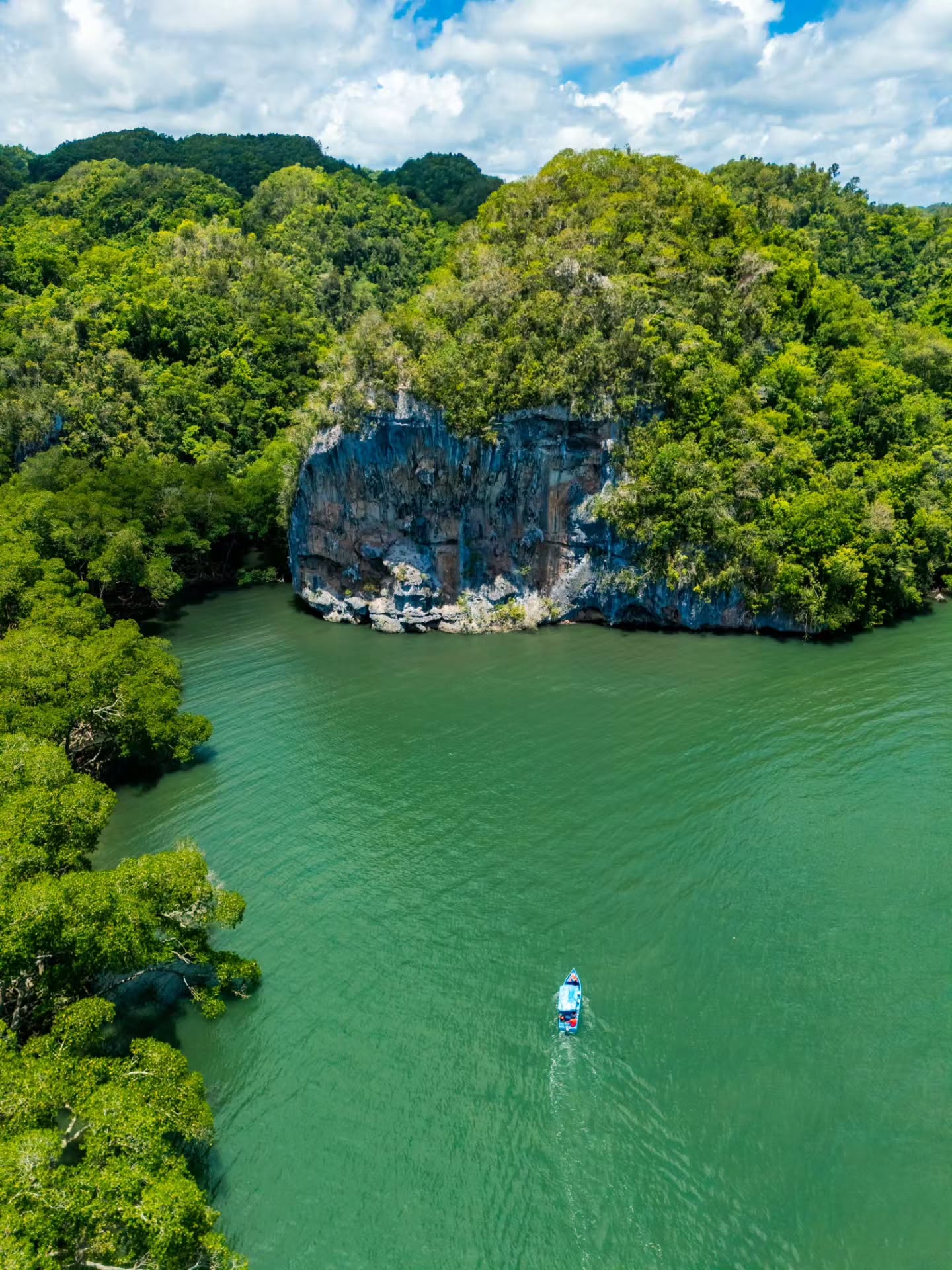 Los Haitises All One: Kayaking, Hiking, Boat, and Swimming - Photo 4 (Gallery view)