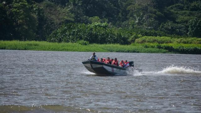 image-0