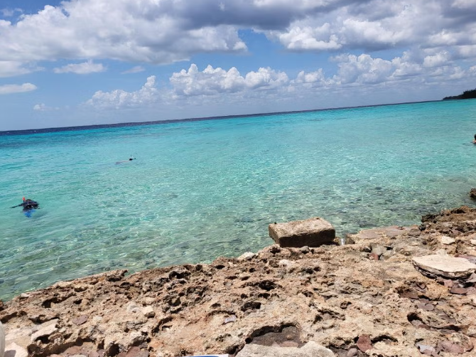 image-3