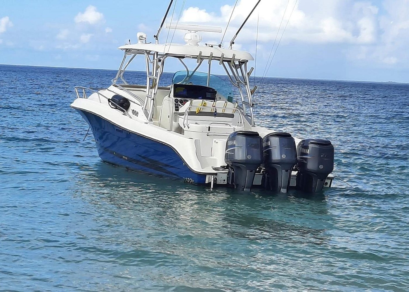 image-7