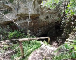 image-3