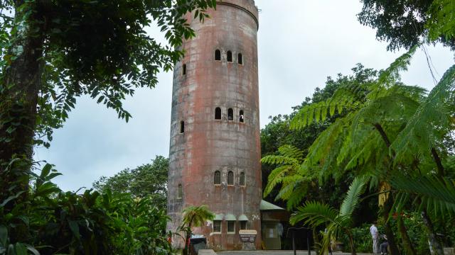 image-5