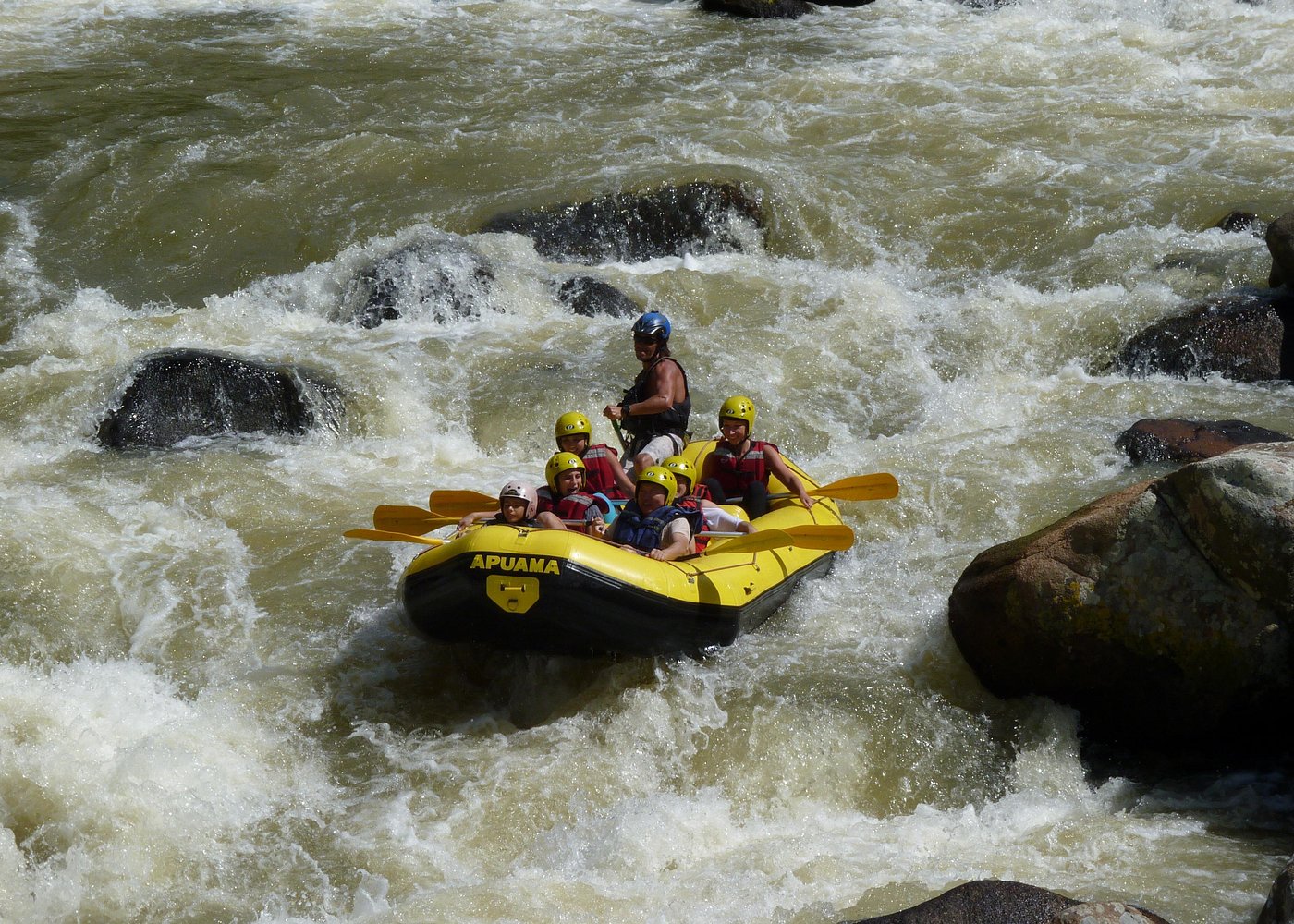 image-7
