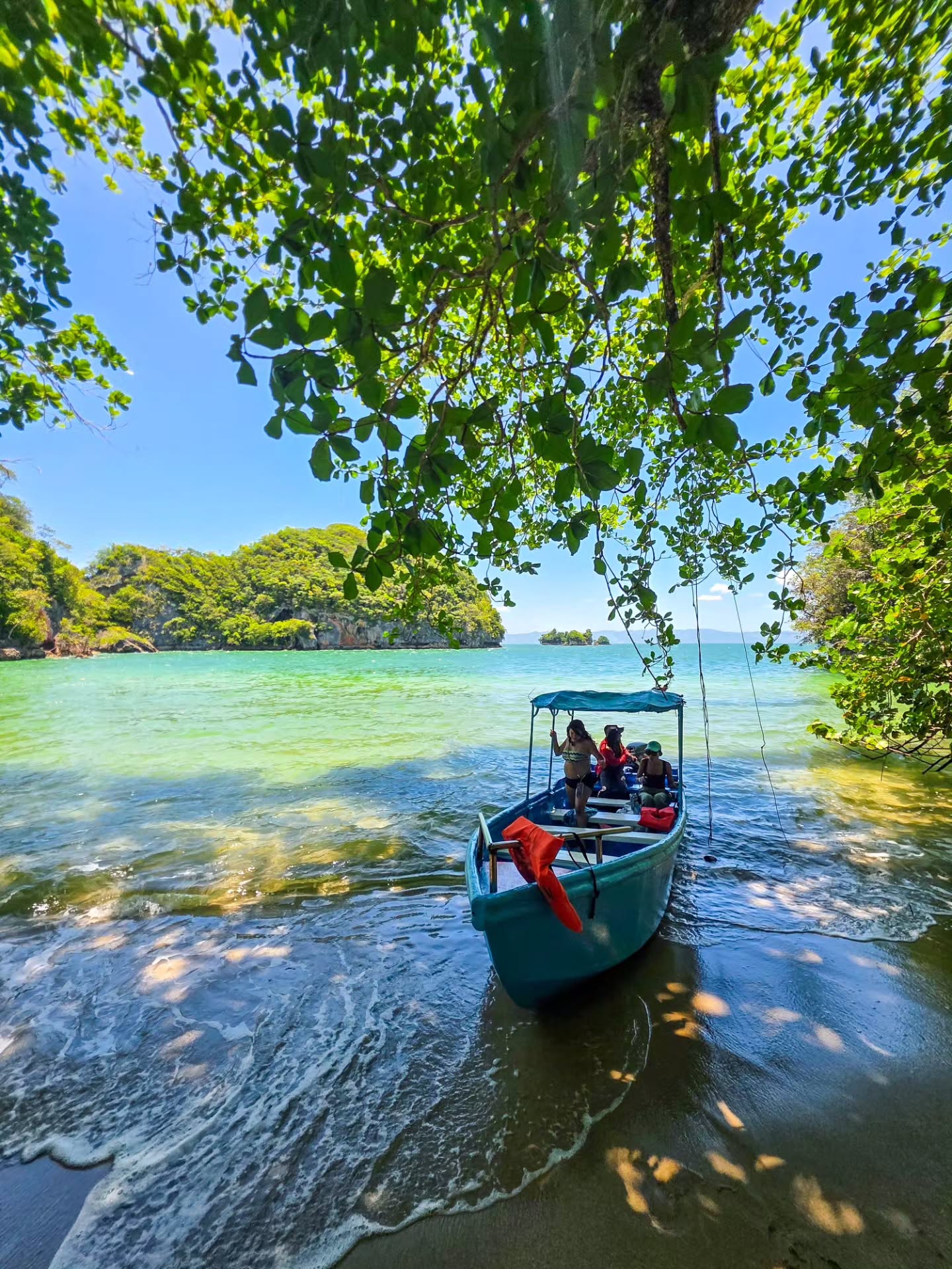 Wycieczka do Los Haitises z Santo Domingo, Samaná lub Sabana de la Mar. Wycieczka całodniowa. - Photo 4 (Gallery view)