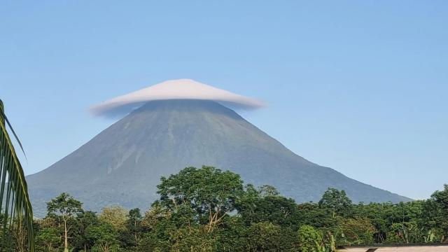 image-0