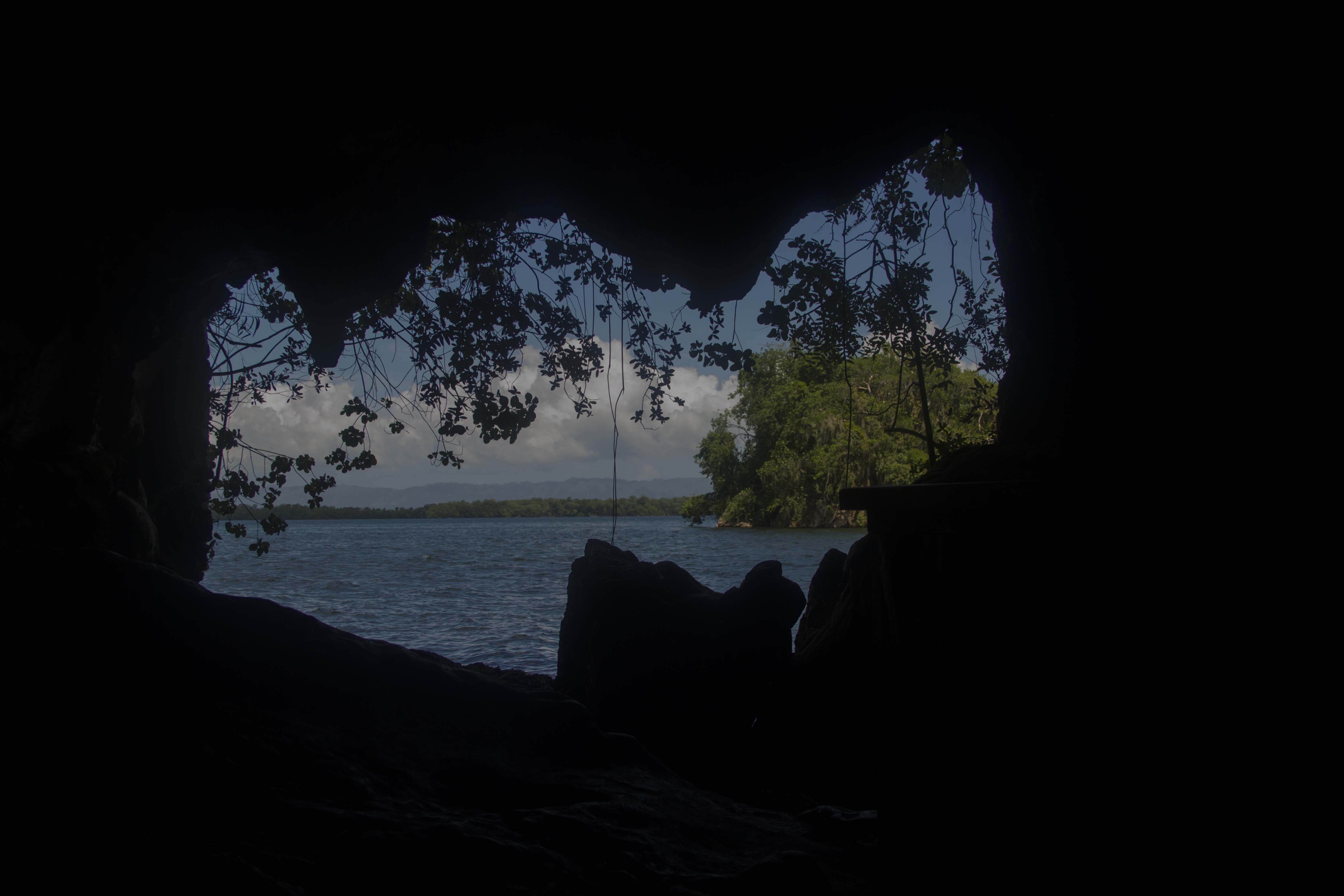 image-5