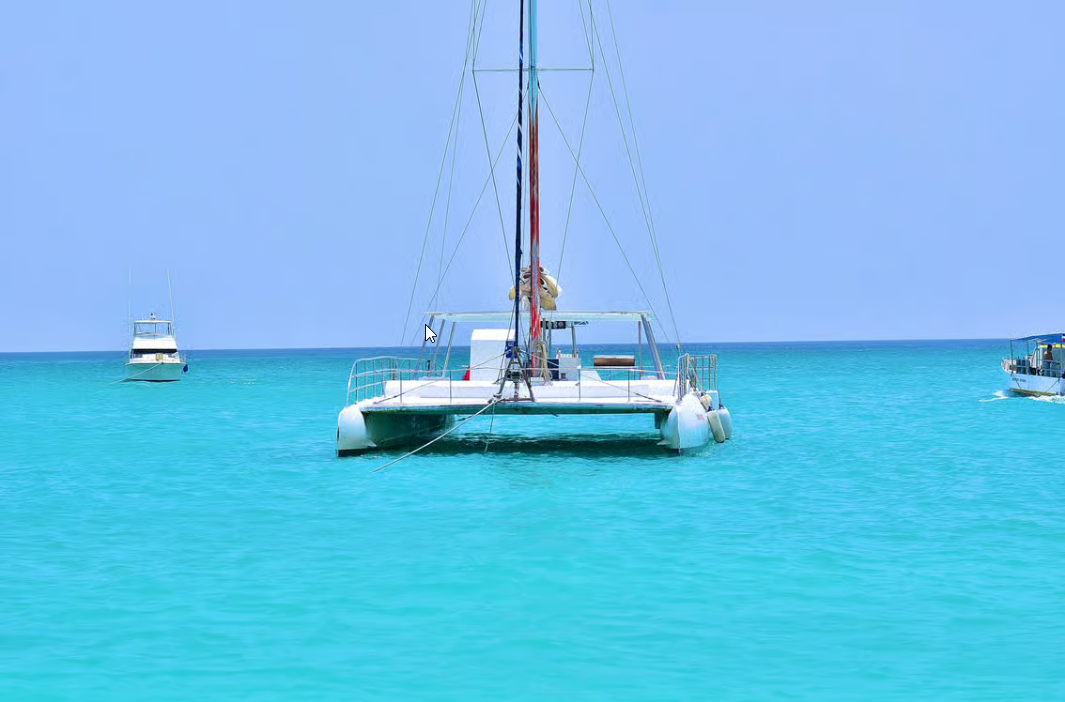 Punta cana: Island Escape to Saona • catamaran & Beach lunch - Dominican Republic