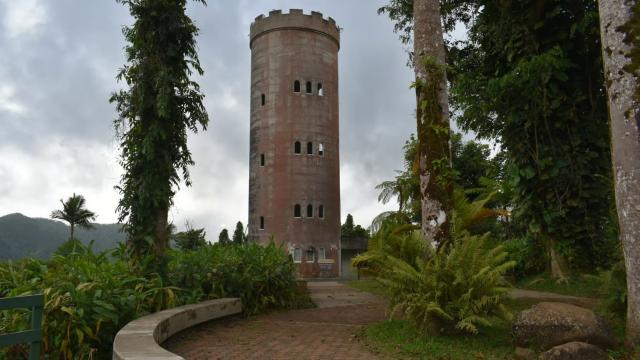 image-2