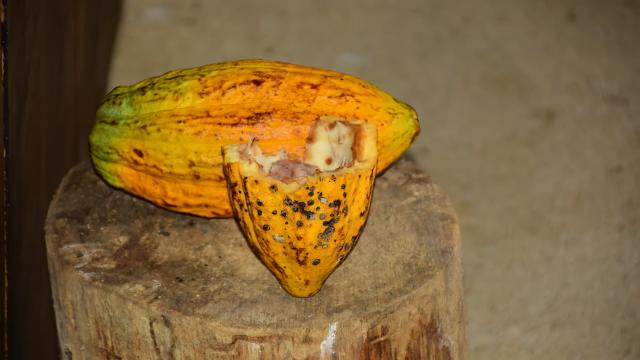 image-5