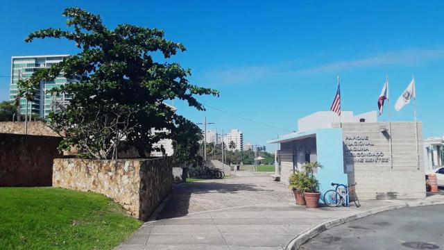 image-0