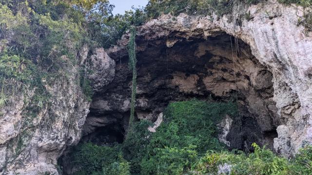 image-4