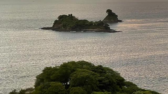 image-9