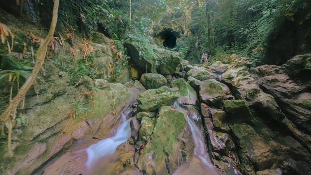 image-5