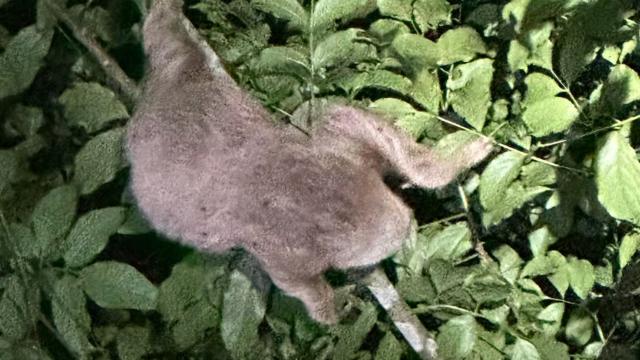 image-9