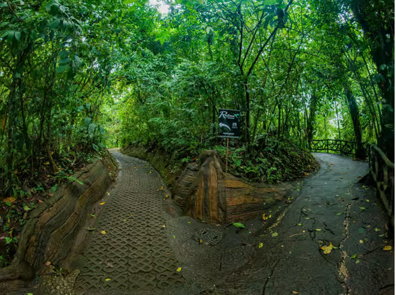 La Fortuna: Hanging Bridges Guided Tour at Mistico Park - Dominican Republic