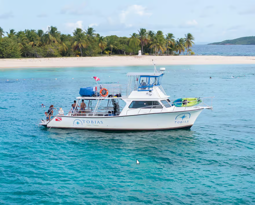 Icacos Island: Swim, Snorkel & Relax - Inclusive Boat Trip - Dominican Republic