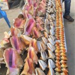 image-18