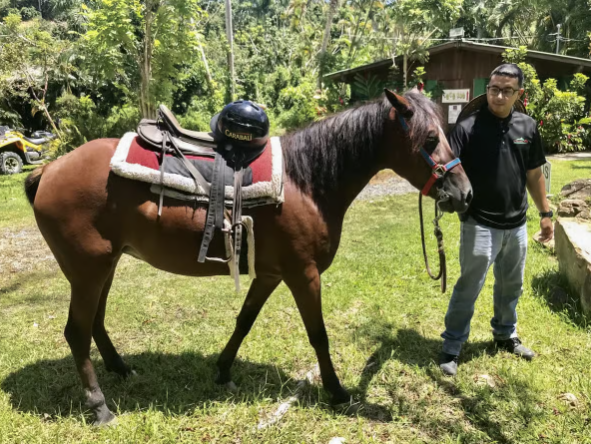 Carabalí Rainforest Park: Rainforest Horseback Riding Tour - Dominican Republic