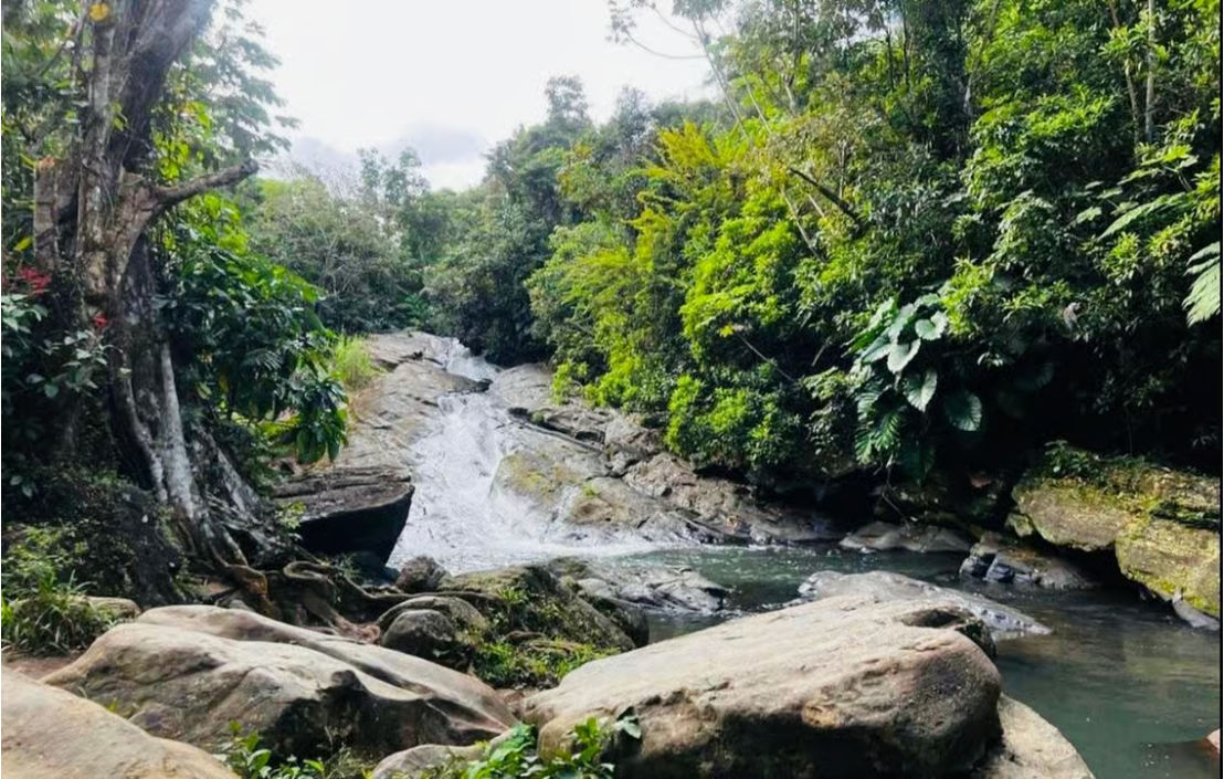 San Juan: 3 Tours 1 Day Bundle! Old City, Rainforest & Beach - Dominican Republic