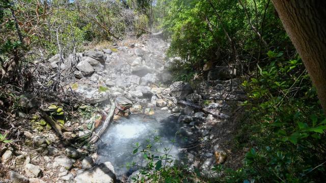image-0