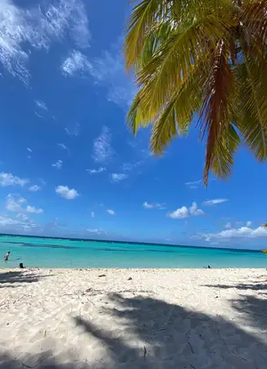Saona Island VIP: 4 Beaches , Mano Juan & Canto de la Playa - Photo 4 (Gallery view)