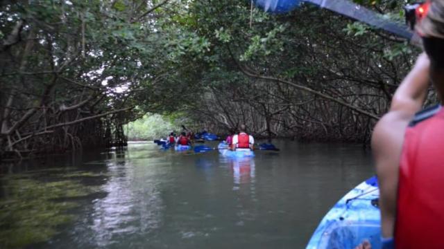 image-5