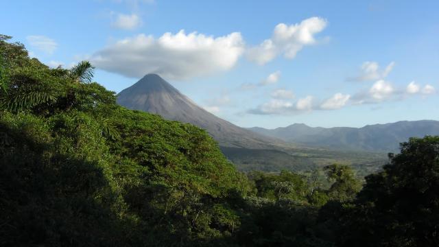 image-0