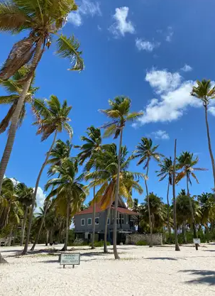 Saona Island VIP: 4 Beaches , Mano Juan & Canto de la Playa - Photo 2 (Gallery view)