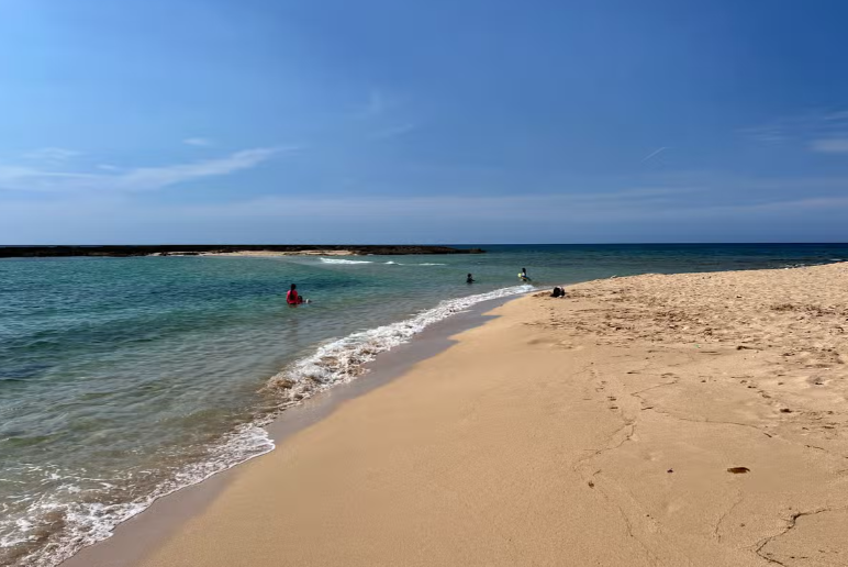 image-3