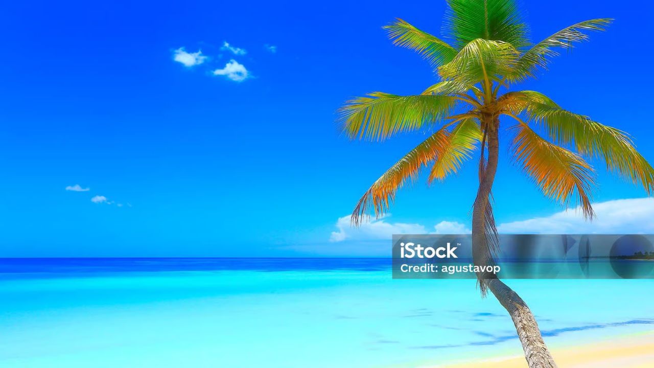 image-0