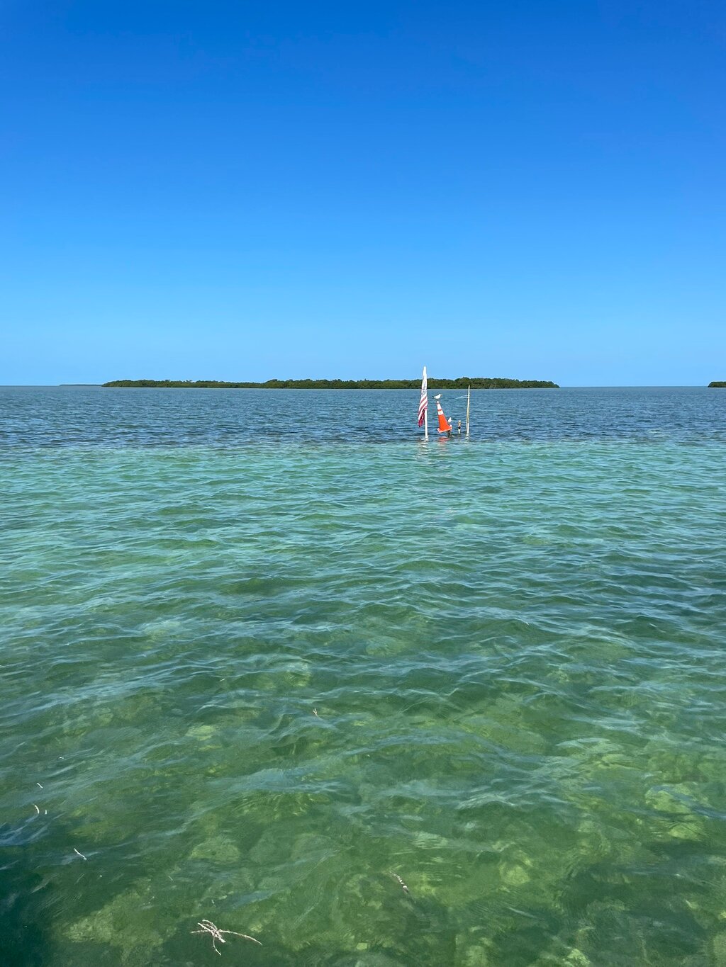 image-0