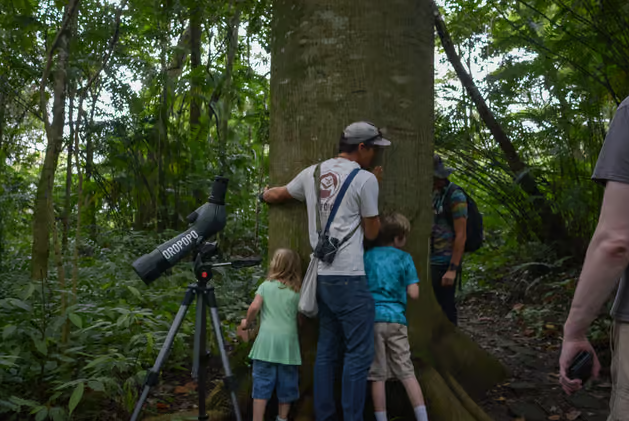 San Jose: Walking Nature Tour with Sloths, Birds, and Trees - Dominican Republic
