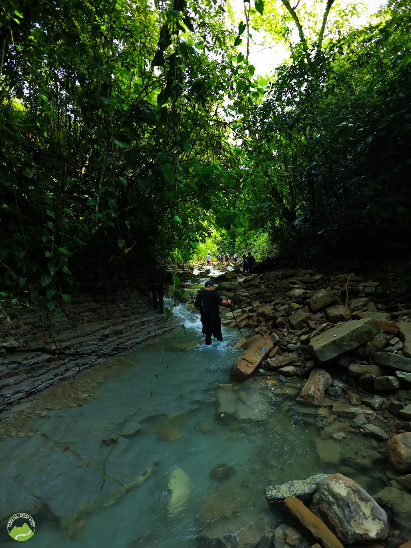 Los Haitises All One: Kayaking, Hiking, Boat, and Swimming - Photo 5 (Gallery view)