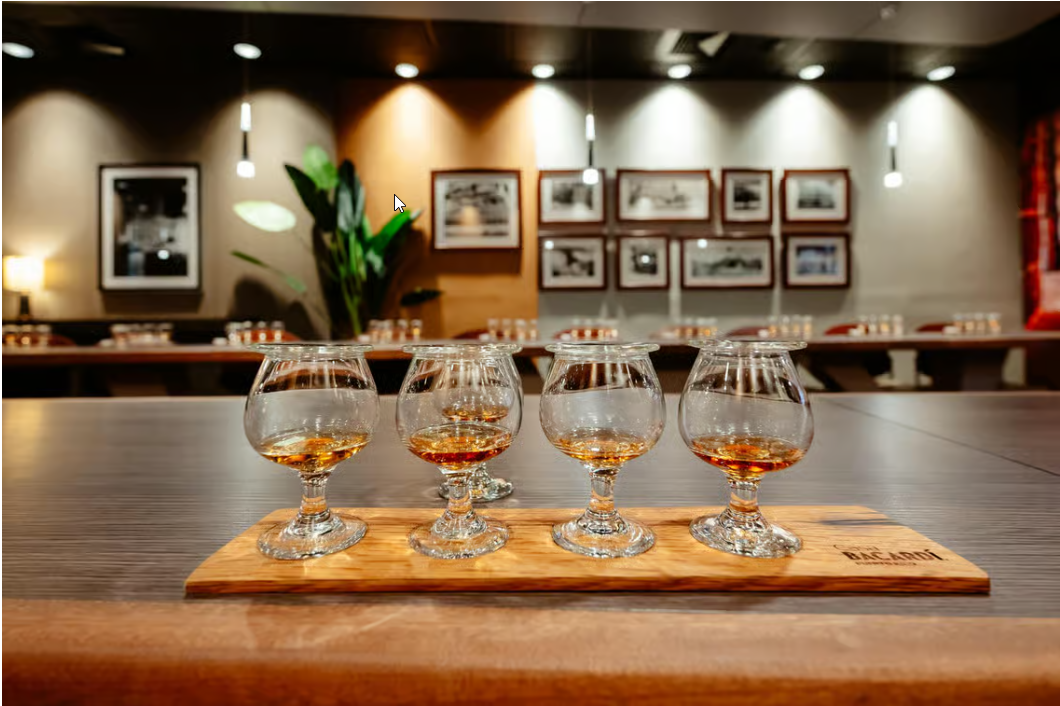 San Juan: Casa Bacardi Distillery Tour - Dominican Republic