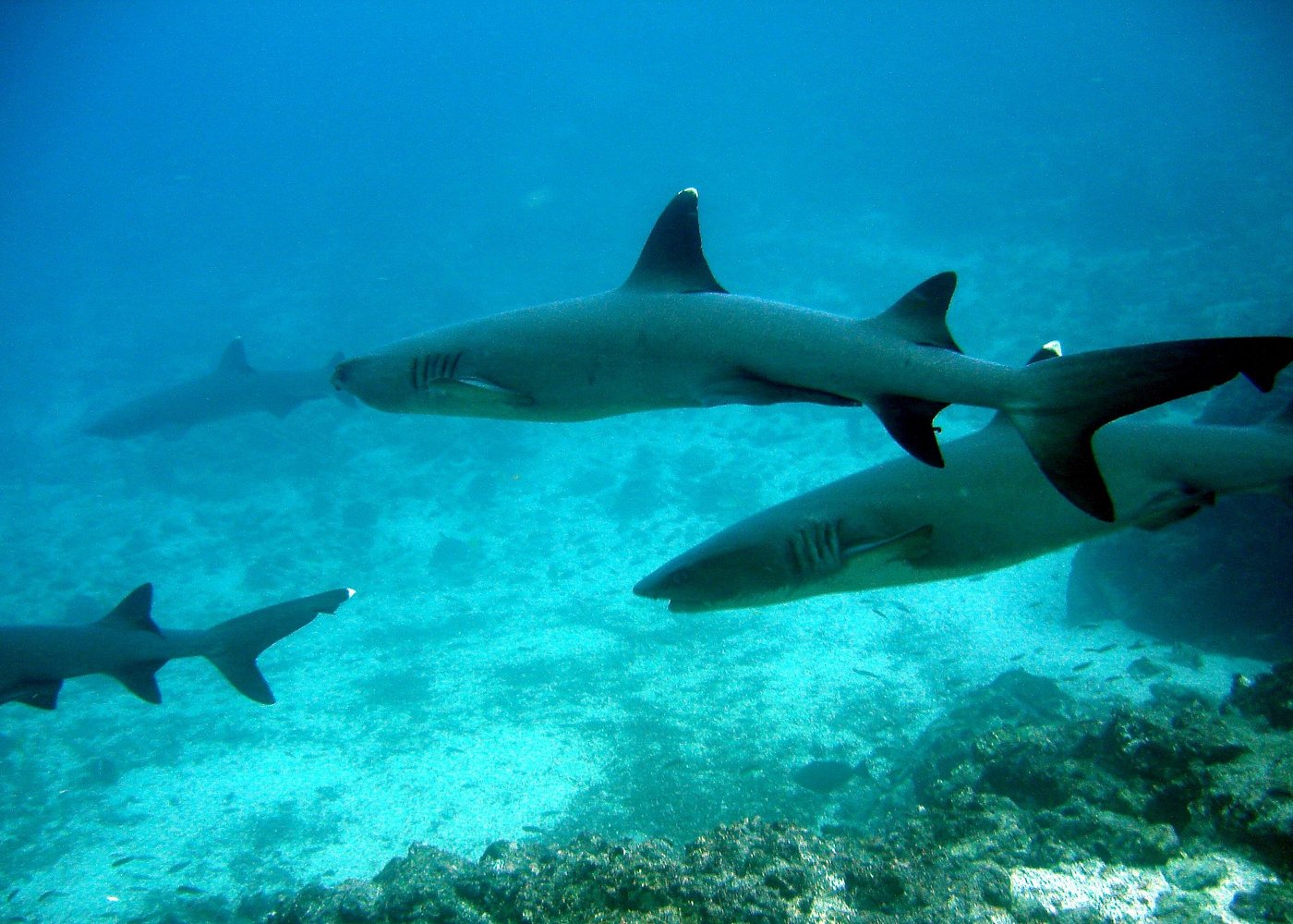 image-5