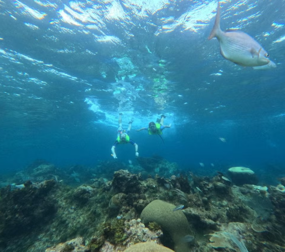 image-2