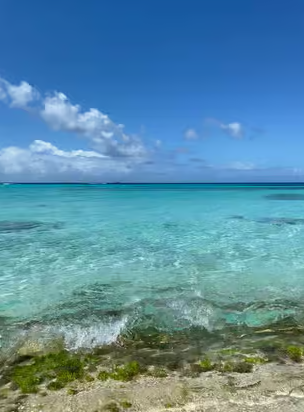 Saona Island VIP: 4 Beaches , Mano Juan & Canto de la Playa - Photo 3 (Gallery view)