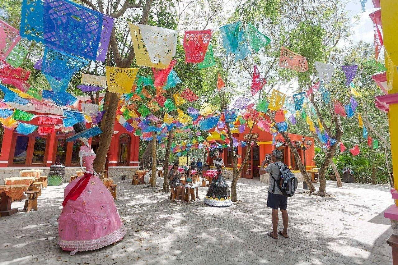 image-3