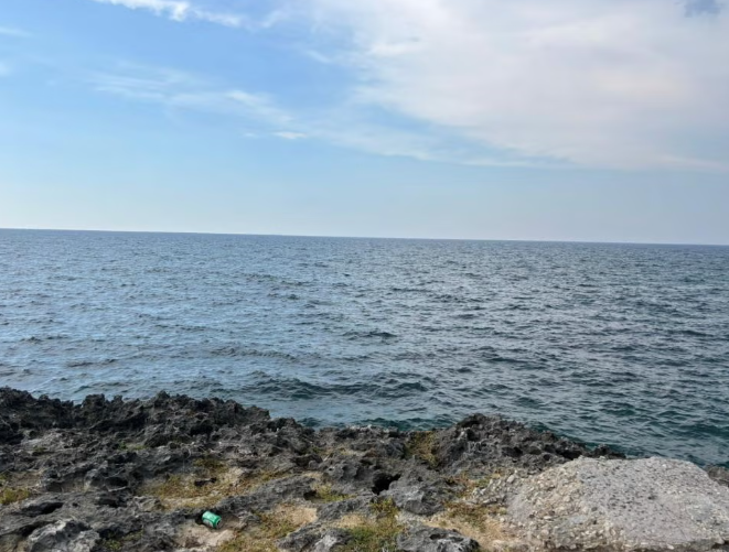 image-1