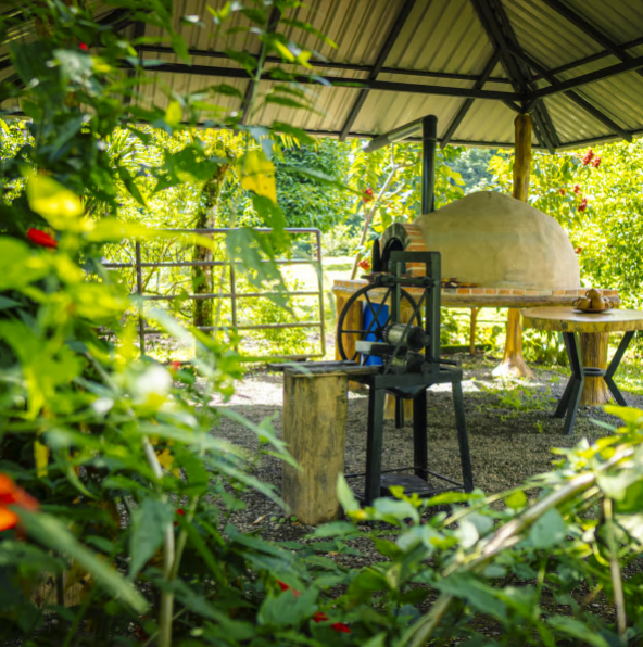 La Fortuna: Sloth Tour in Arenal Volcano Park & Local Snack - Photo 5 (Gallery view)