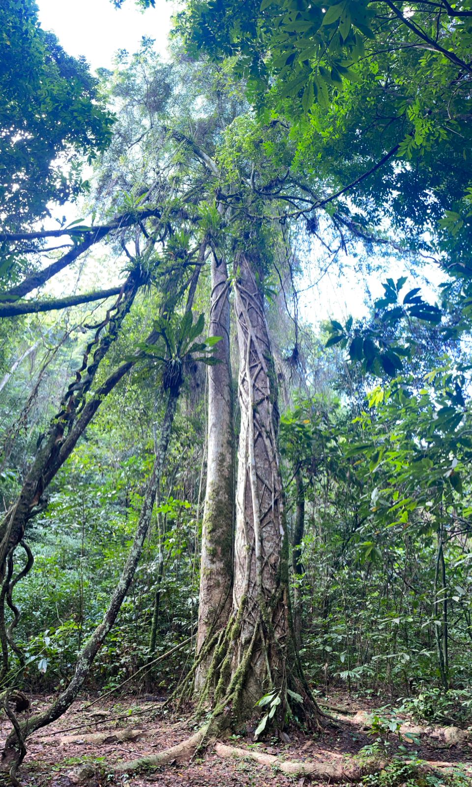 image-3