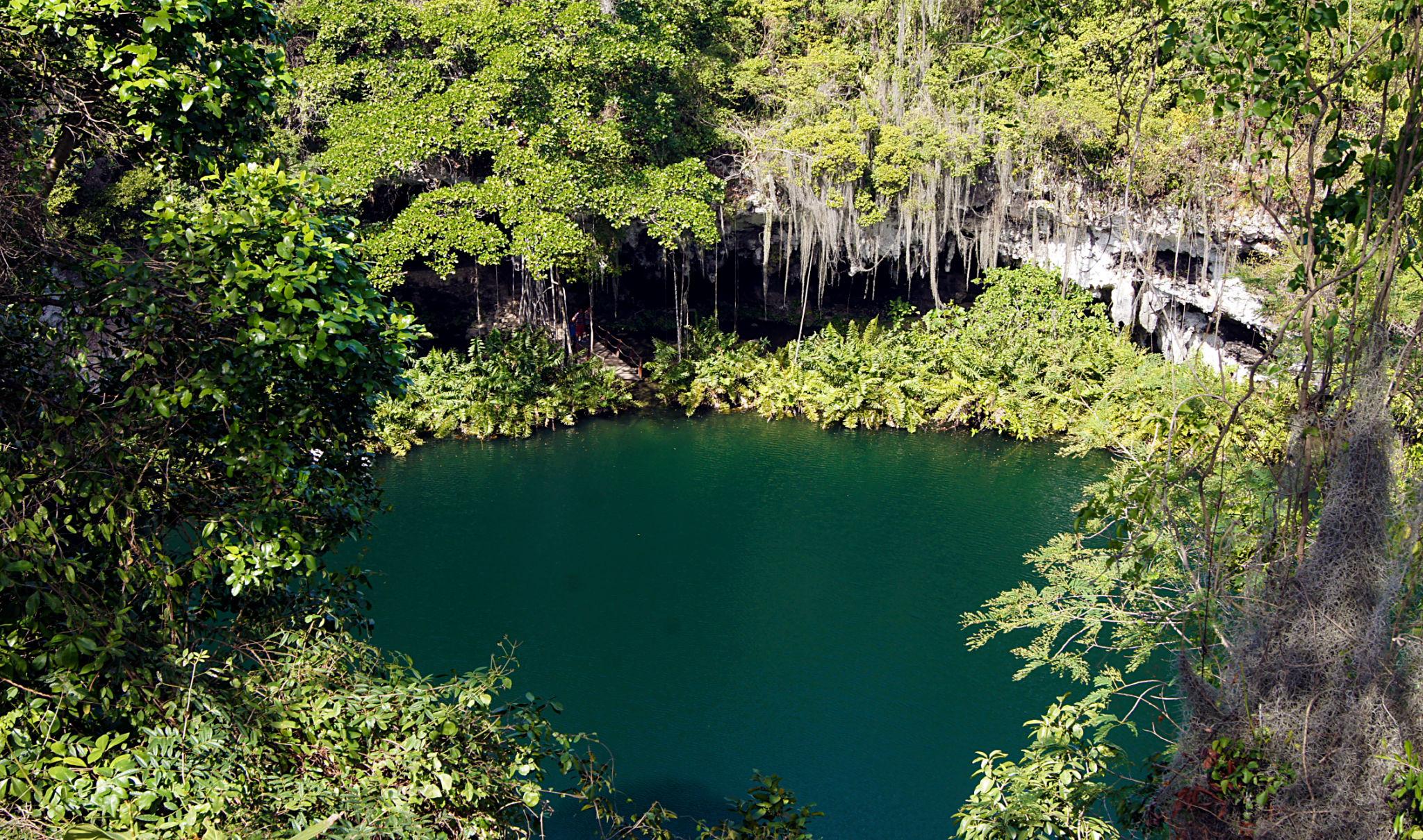 Los Tres Ojos Entrance Tour with Local Guide – Santo Domingo - Photo 5 (Gallery view)