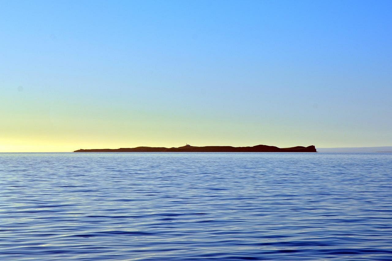 image-3