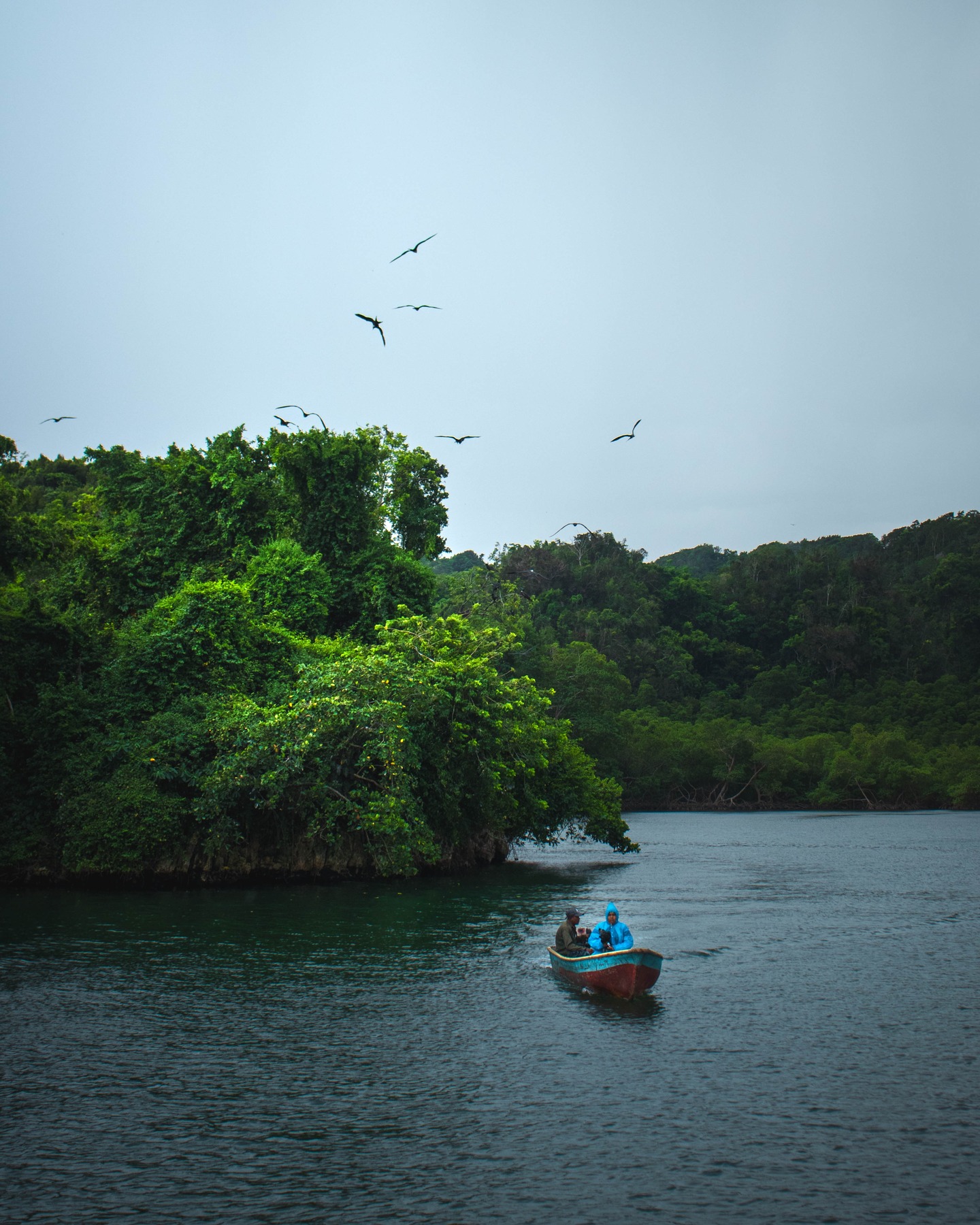 3in1: Parco N. Los Haitises + Cascate + Montaña Redonda - Photo 4 (Gallery view)
