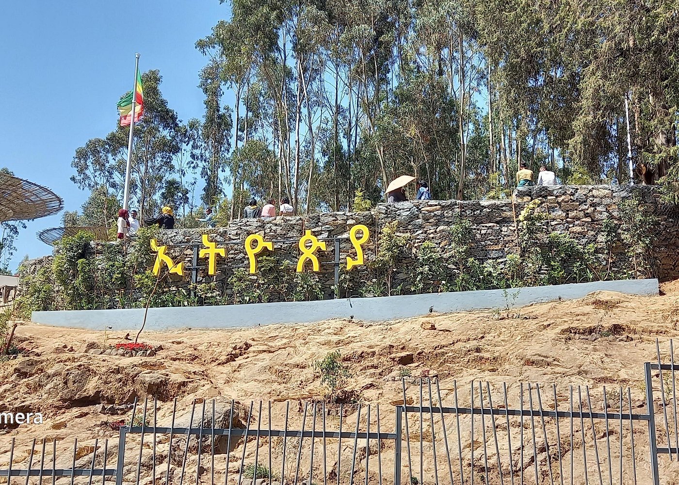 image-5